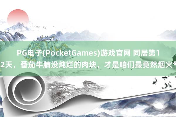 PG电子(PocketGames)游戏官网 同居第172天，番茄牛腩没炖烂的肉块，才是咱们最竟然烟火气