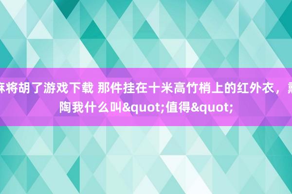 麻将胡了游戏下载 那件挂在十米高竹梢上的红外衣，熏陶我什么叫"值得"