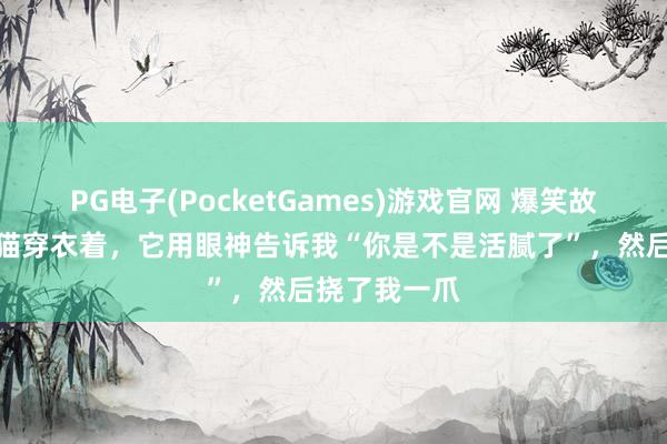 PG电子(PocketGames)游戏官网 爆笑故事：试图给猫穿衣着，它用眼神告诉我“你是不是活腻了”，然后挠了我一爪