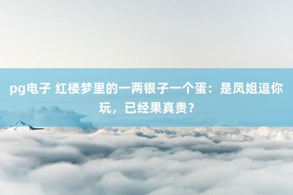 pg电子 红楼梦里的一两银子一个蛋：是凤姐逗你玩，已经果真贵？