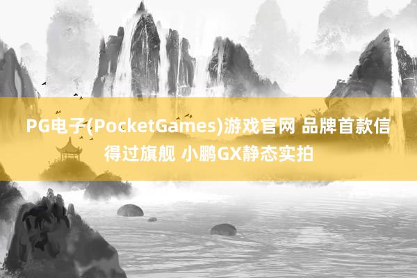 PG电子(PocketGames)游戏官网 品牌首款信得过旗舰 小鹏GX静态实拍