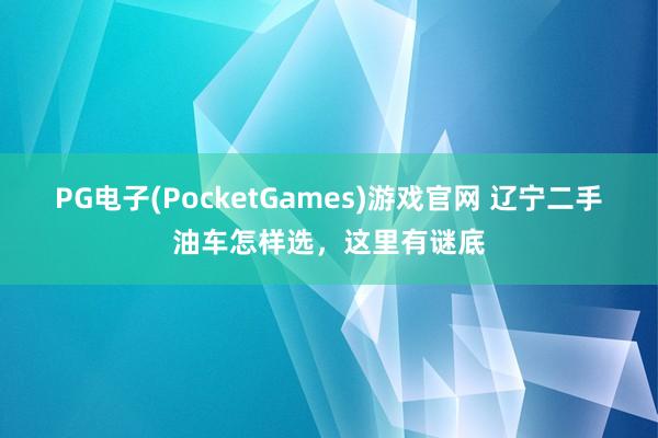 PG电子(PocketGames)游戏官网 辽宁二手油车怎样选，这里有谜底