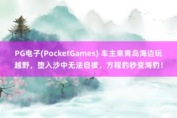 PG电子(PocketGames) 车主来青岛海边玩越野，堕入沙中无法自拔，方程豹秒变海豹！