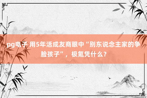 pg电子 用5年活成友商眼中“别东说念主家的争脸孩子”，极氪凭什么？