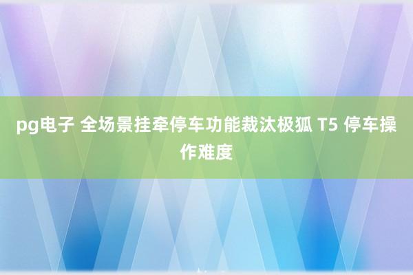 pg电子 全场景挂牵停车功能裁汰极狐 T5 停车操作难度