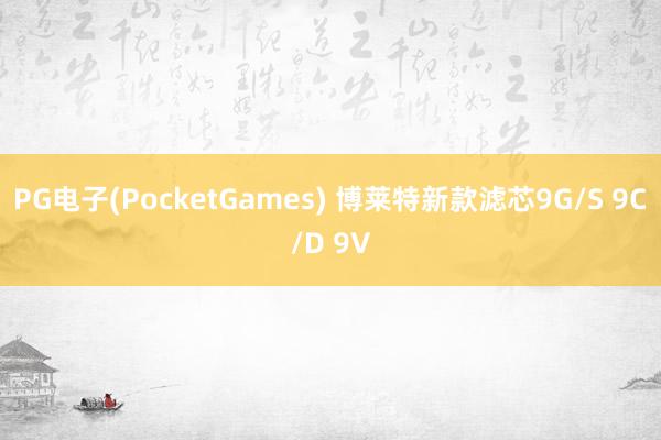 PG电子(PocketGames) 博莱特新款滤芯9G/S 9C/D 9V