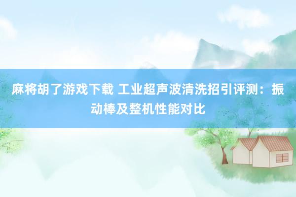 麻将胡了游戏下载 工业超声波清洗招引评测：振动棒及整机性能对比