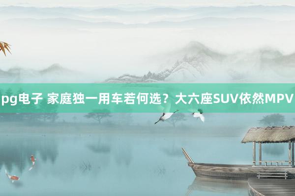 pg电子 家庭独一用车若何选？大六座SUV依然MPV