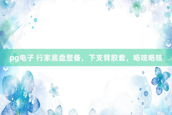 pg电子 行家底盘整备，下支臂胶套，咯吱咯吱