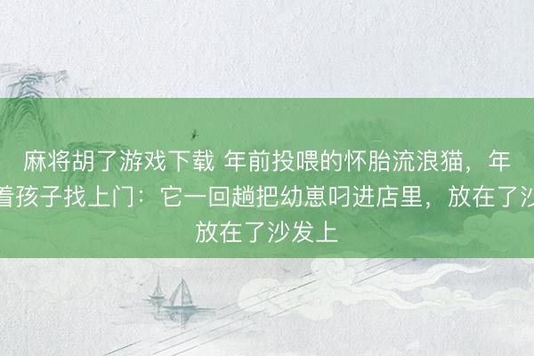 麻将胡了游戏下载 年前投喂的怀胎流浪猫，年后带着孩子找上门：它一回趟把幼崽叼进店里，放在了沙发上