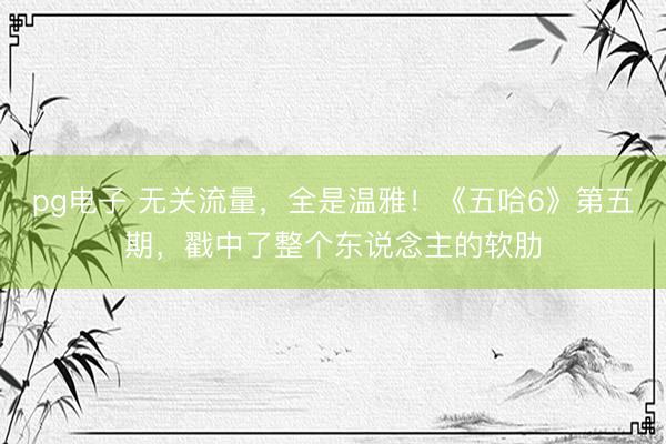 pg电子 无关流量，全是温雅！《五哈6》第五期，戳中了整个东说念主的软肋